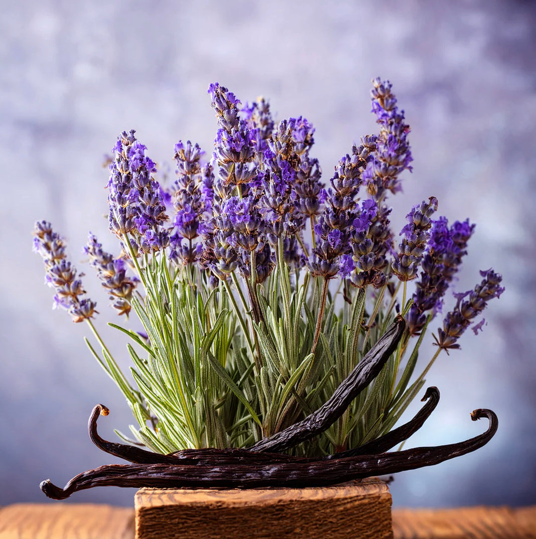Lavender Vanilla