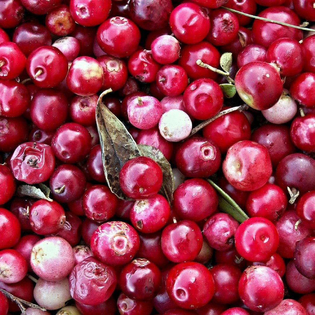 Fragancia de Cranberry Citrus