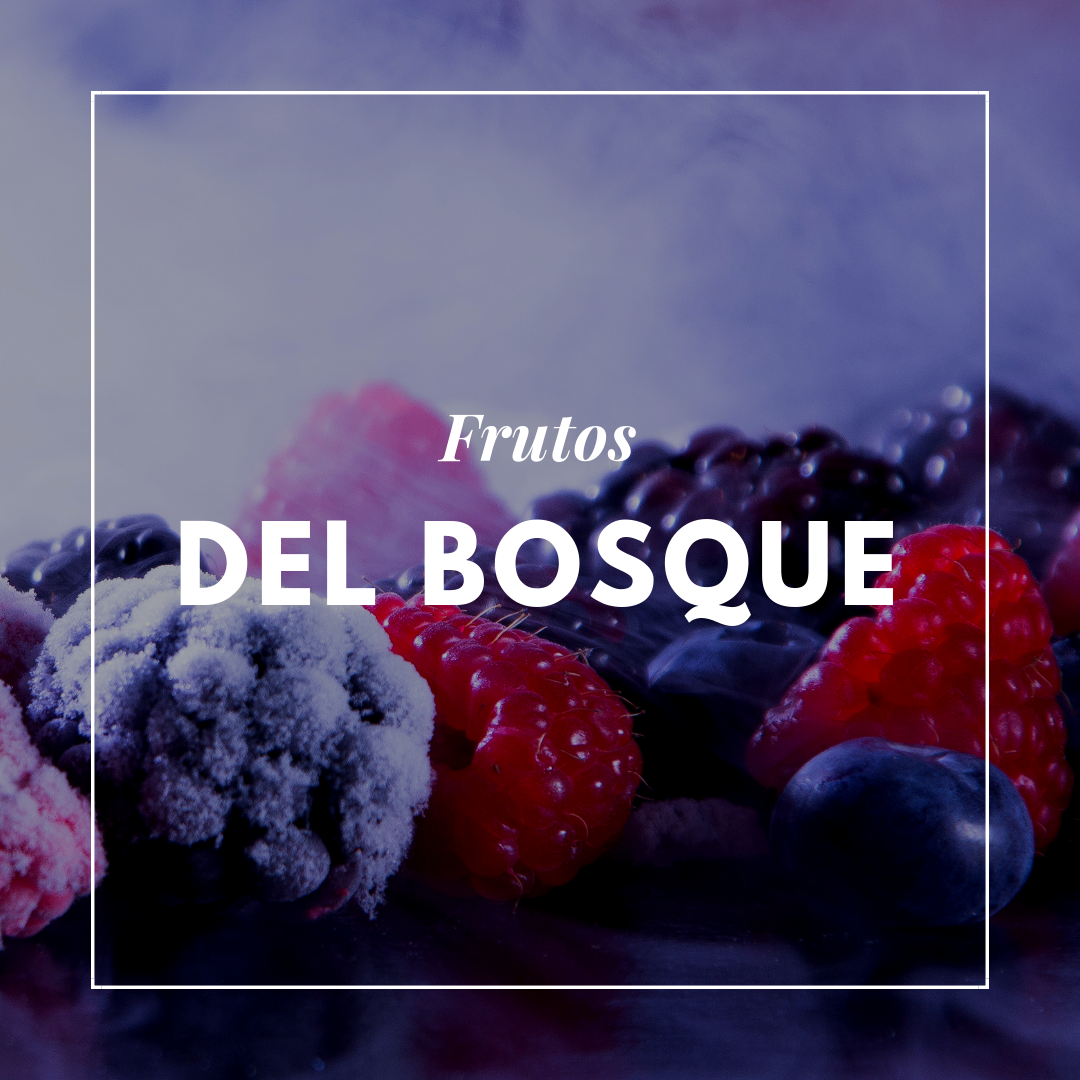 Extracto de frutos del Bosque