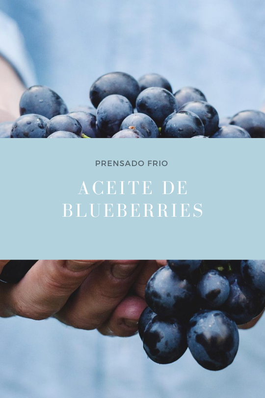 Aceite de Blueberry
