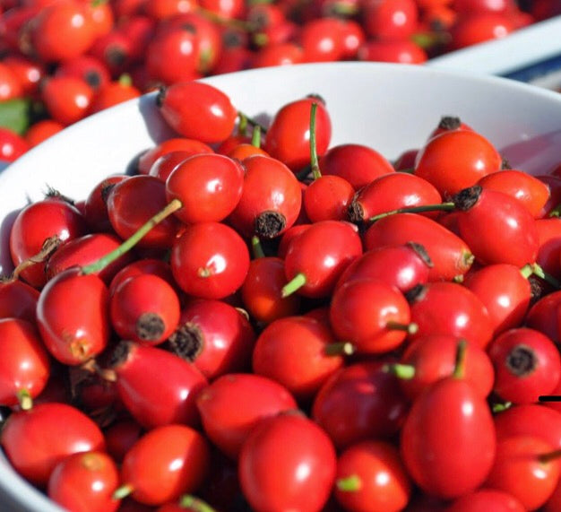 Aceite de Rosa Mosqueta Orgánico