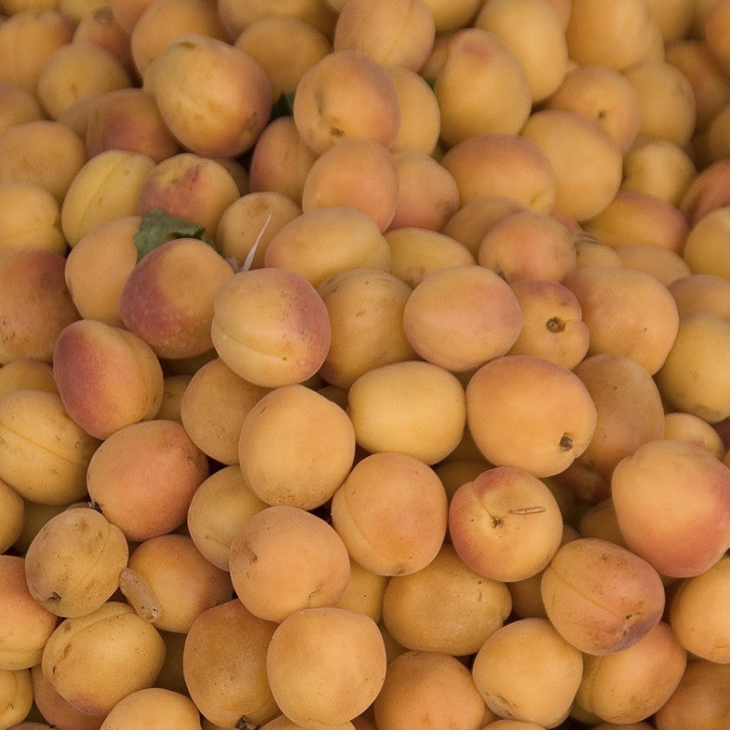 Fragancia Aprés Apricot