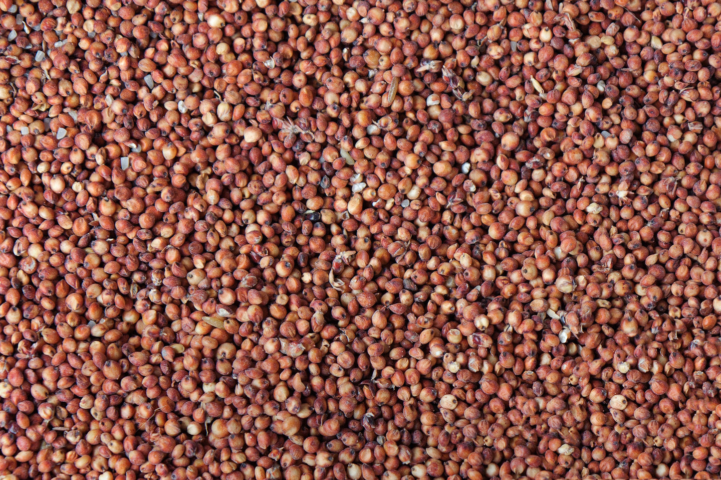 Aceite de Germen de Trigo