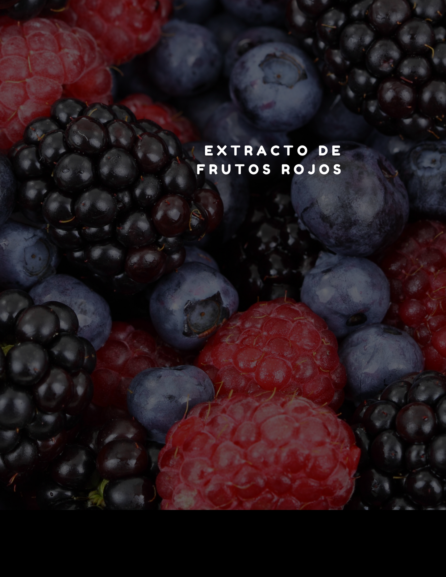 Extracto de Frutos Rojos