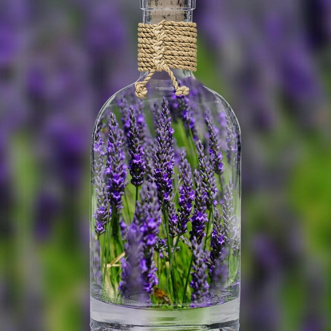 Fragancia de Lavanda