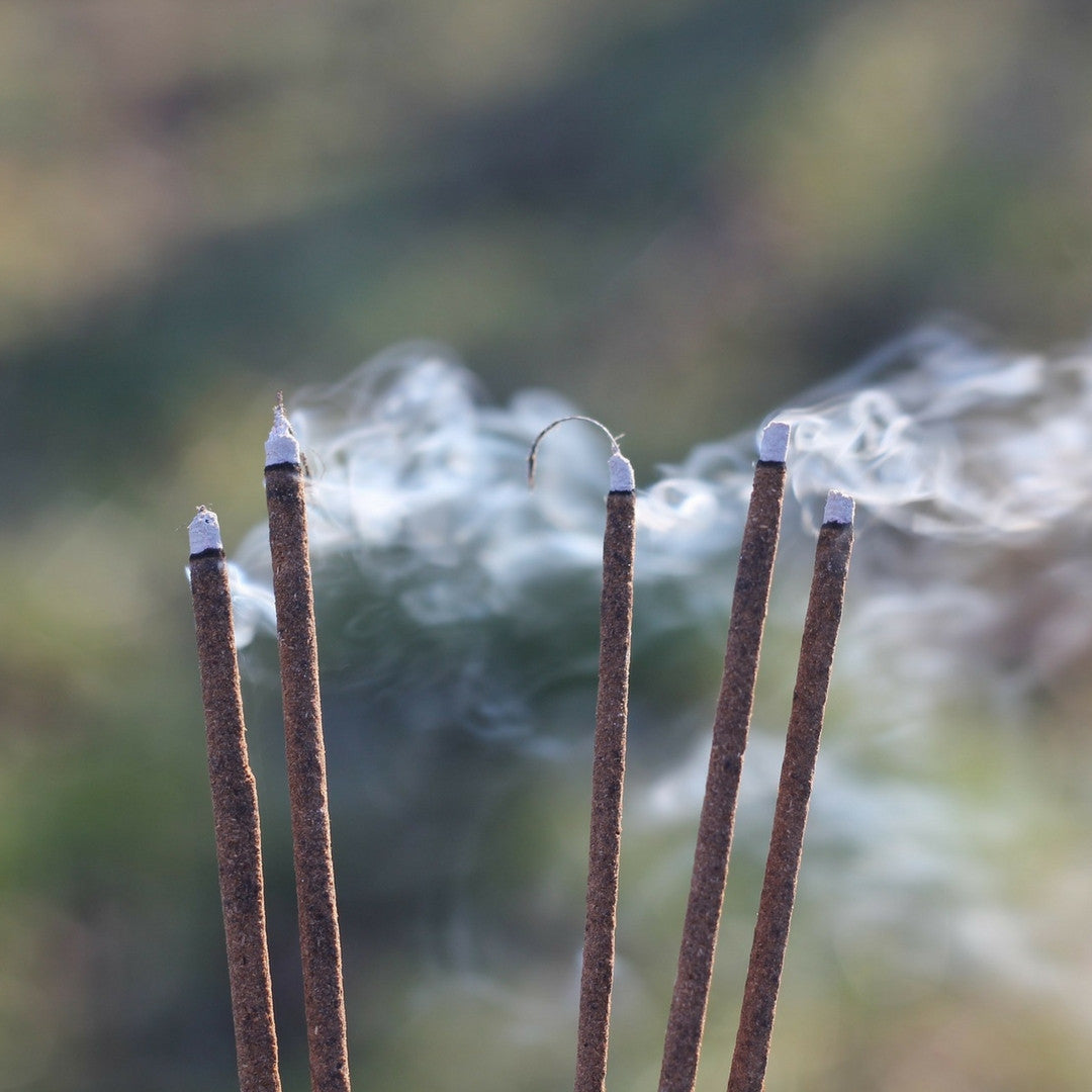 Fragancia de Patchouli