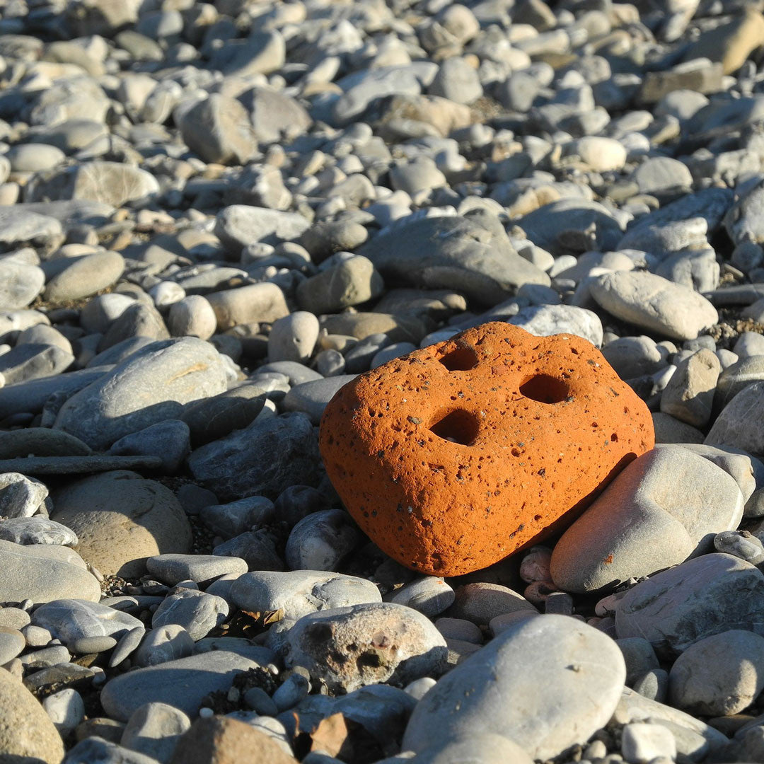 Polvo de Piedra Pómez
