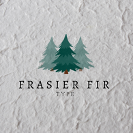 Fragancia Frasier Fir Thymes Type