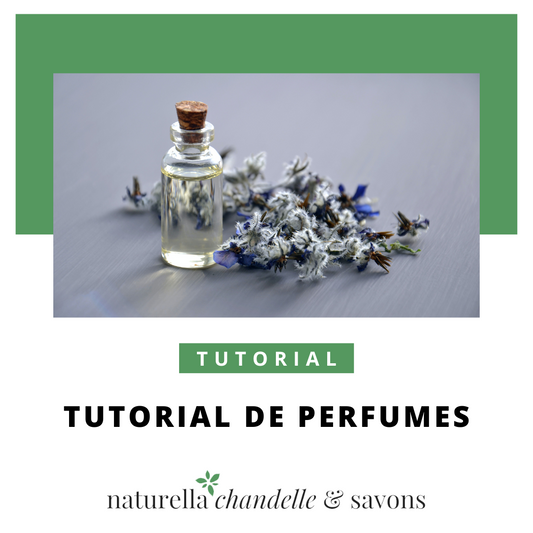 Tutorial de Perfumes