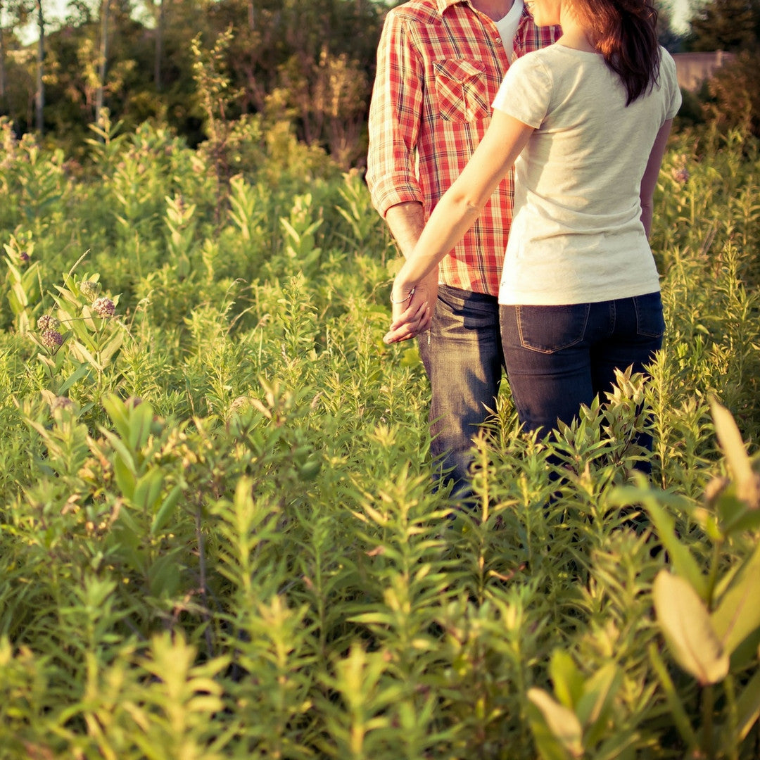 Fragancia de Endless Love