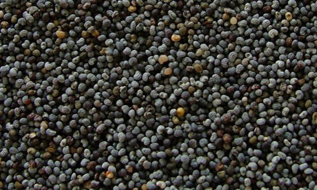Poppy Seeds