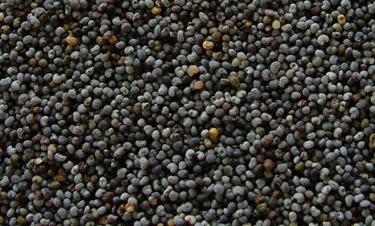 Poppy Seeds