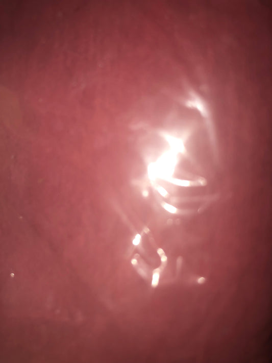 Maqui Berry Pulvorizado