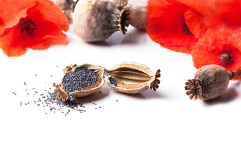 Poppy Seeds