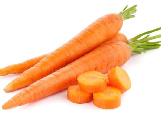 Aceite de Semillas de Zanahoria