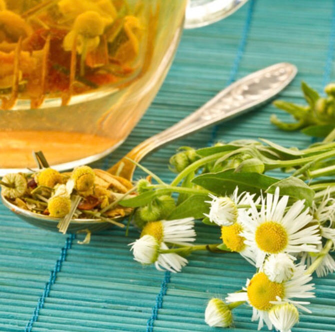 Aceite de Manzanilla Romana