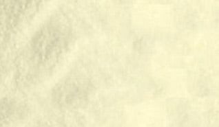 Aloe Vera Pulvorizada