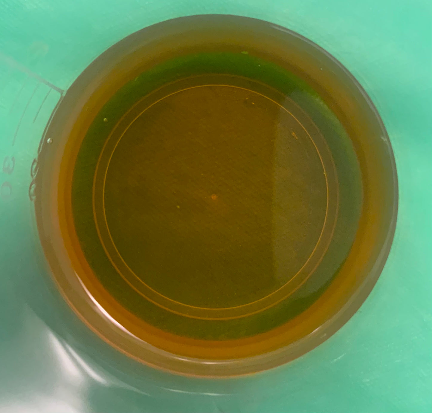 Aceite Negro