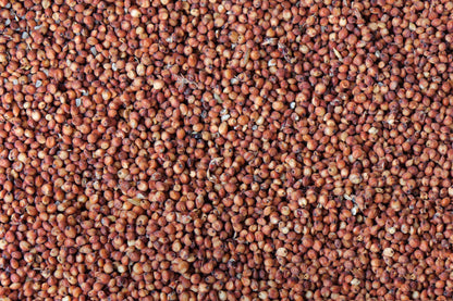 Aceite de Germen de Trigo