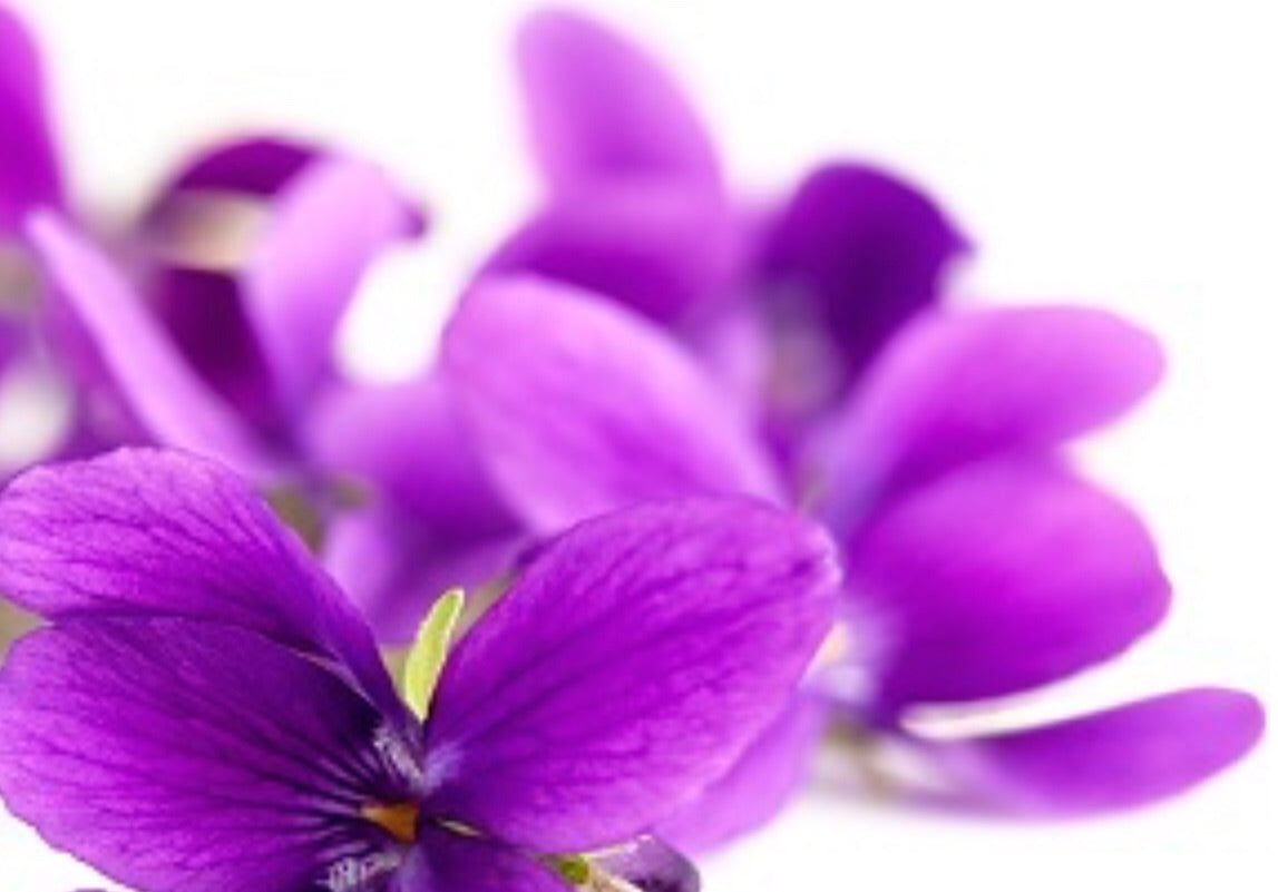 Fragancia Violetas Francesas