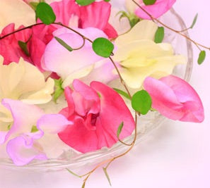 Fragancia de Sweet Pea