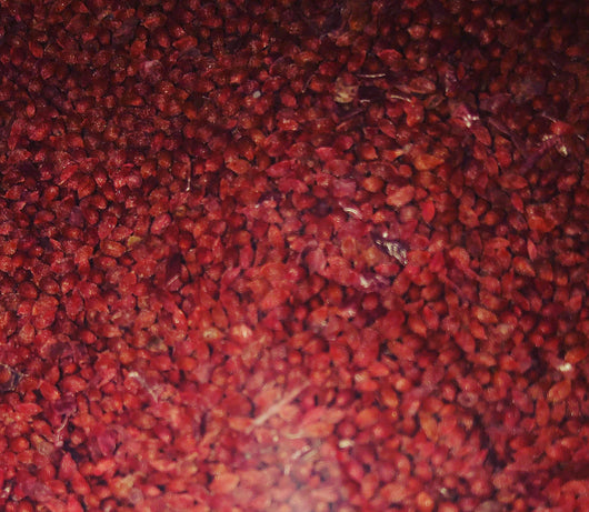Cranberry Seeds (exfoliante)