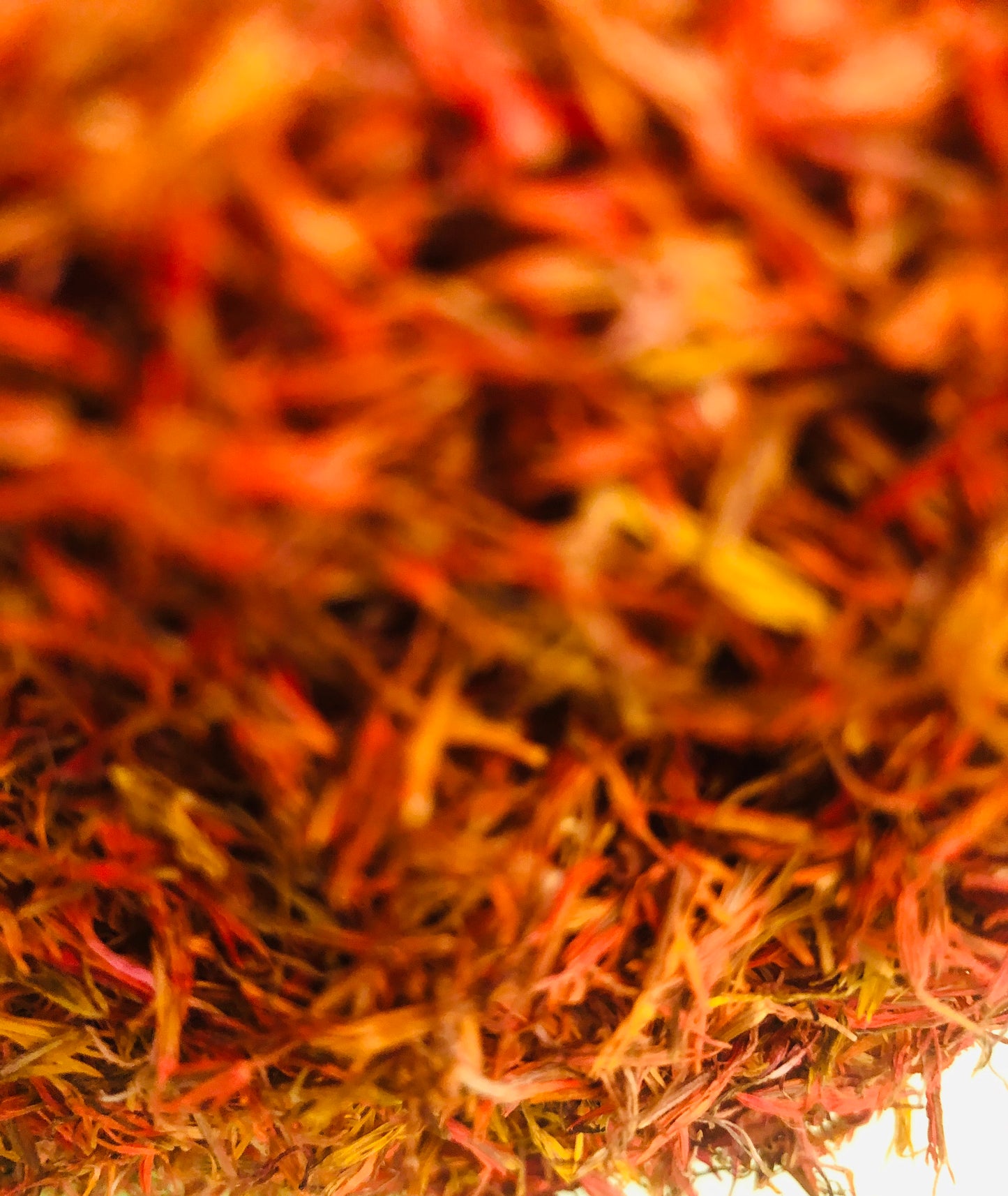 Aceite de Cartamo  Cosmético