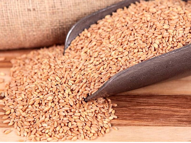 Wheat