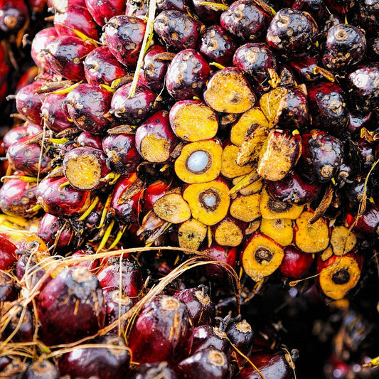 Manteca de Aceite de Palma