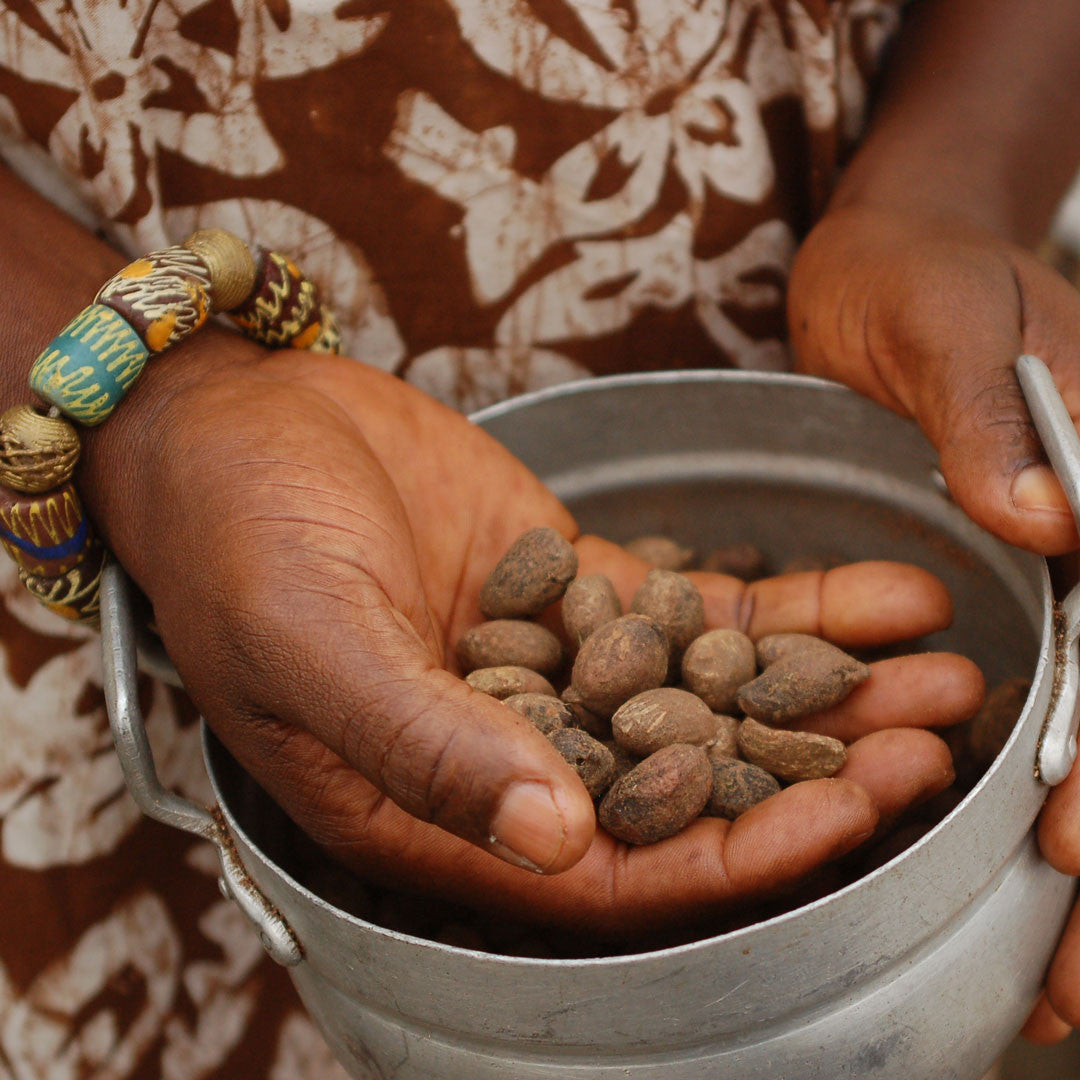 Shea Butter Orgánico